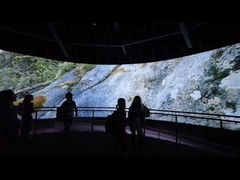 شاشة منحنية