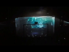 Transparent Invisible Holographic 3D Mesh Screen Pepperscrim