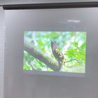 Grey Laser TV And Rear Projection Film / foil for display , advertising , exhibition